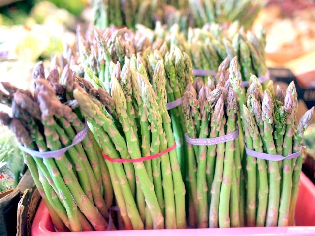 実はアスパラガスには雄雌があります 関西最大級の園芸会社 国華園 畑から台所まで