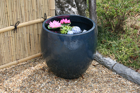 睡蓮鉢・瑠璃例