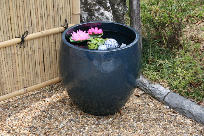 睡蓮鉢 ミニビオトープを作ろう 関西最大級の園芸会社 国華園 畑から台所まで