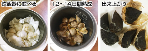 ニンニク2