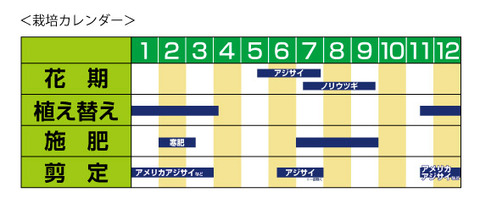 あじさいの栽培カレンダー