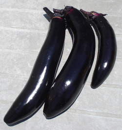 nasu