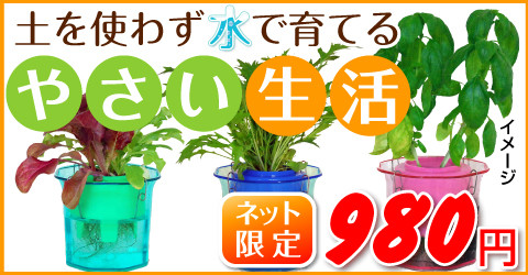 yasai-sblog