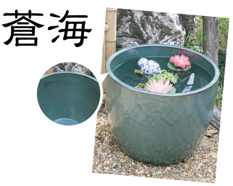 睡蓮鉢・蒼海まとめ