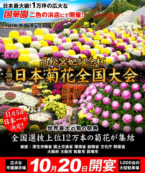 2021菊花会