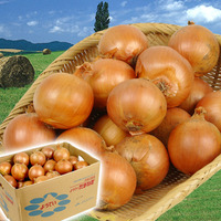 03091200_4d76ed36a7842