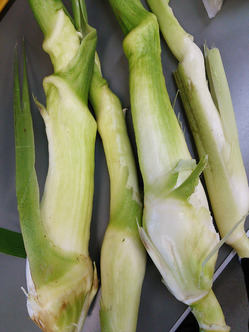 makomo1