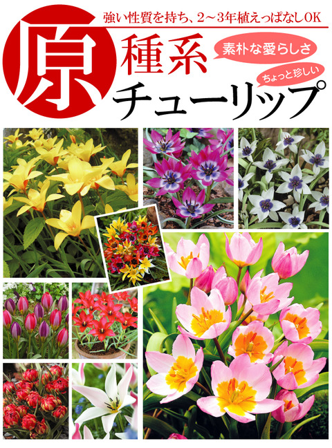 genshuchu-1