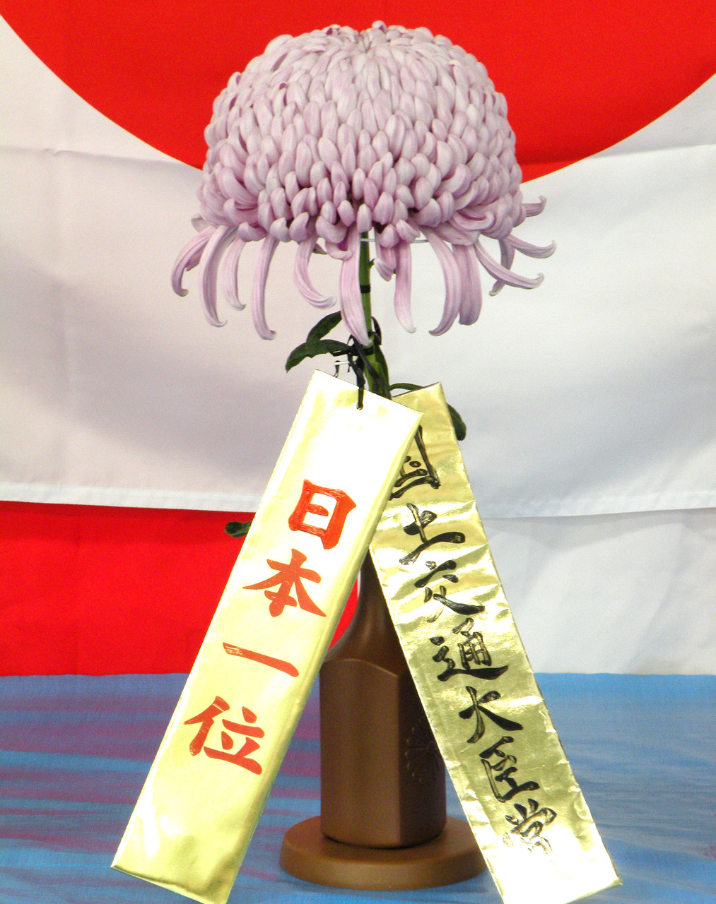 第31回日本菊花全国大会】日本一決定！ : 関西最大級の園芸