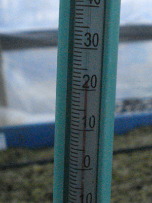 image14