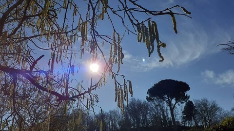 07012020avellano