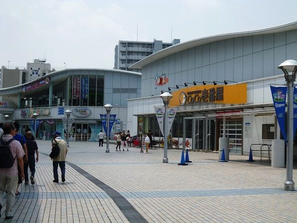 初めてのプロ野球観戦 鼓動