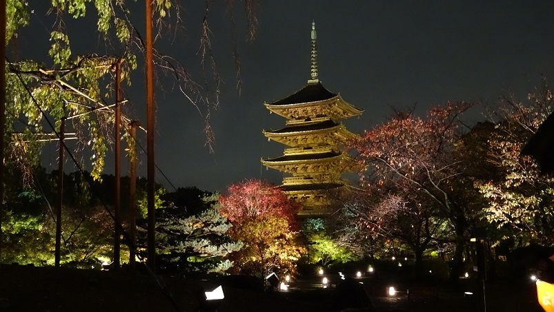 紅葉の京都めぐり 夜の東寺 鼓動