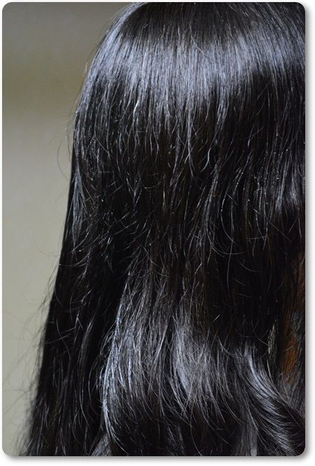 大島椿ヘアウォーター こころの毎日 大島椿ヘアウォーター こころの毎日