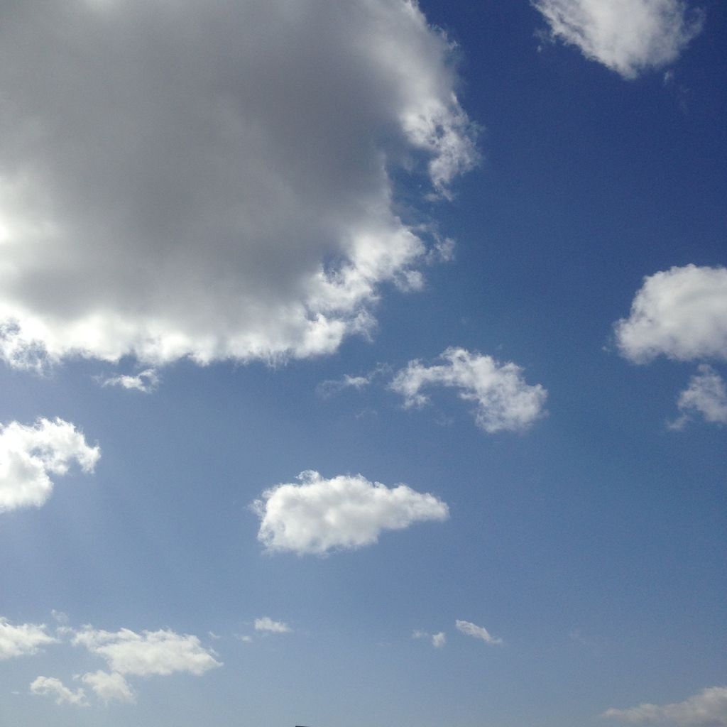 秋の空を楽しむ ココチ日和 My Favorite