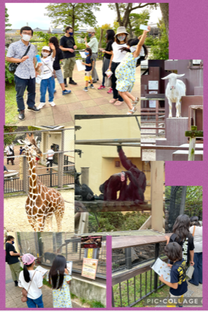 【kokokids】10/1(土)は「動物園へ行こう！」です！