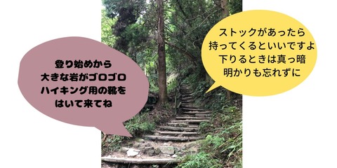 登山道２