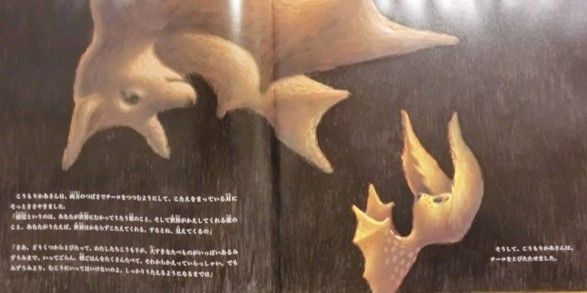 世界は優しく美しいものだと思わせてくれた チーロの歌 13 12 5 アリ バーク 著 ローレン ロング イラスト 管啓次郎 翻訳 Kokokara Labo