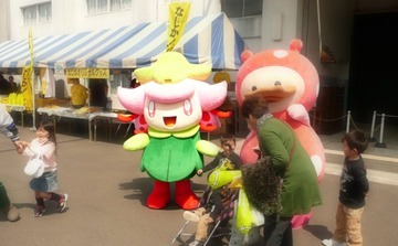 ミヤちゃんnashika3