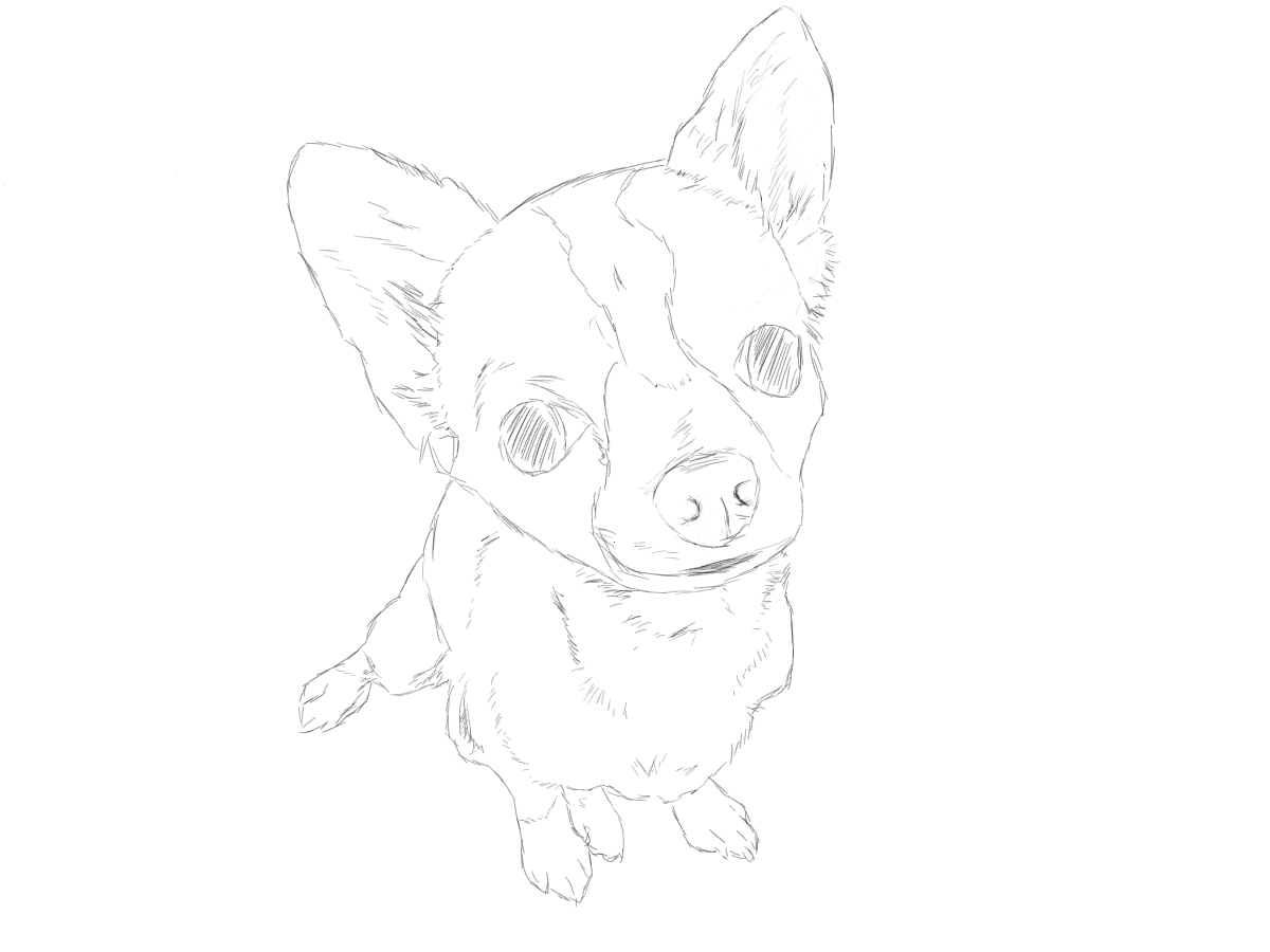 お座りするチワワ 心夏のイラスト 絵本 Etc