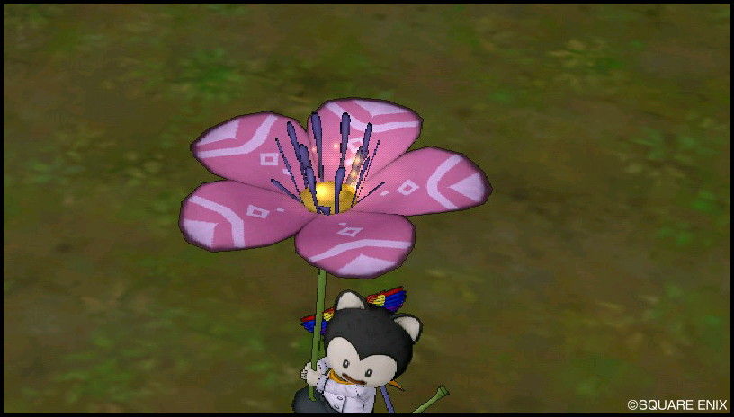ドルフラワーのカラーリング1 全色画像 全色追加 Dq10をのんびりと進めるコペのブログ