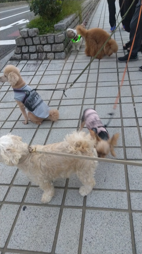 HORIZON_0001_BURST20251002055735795_COVER