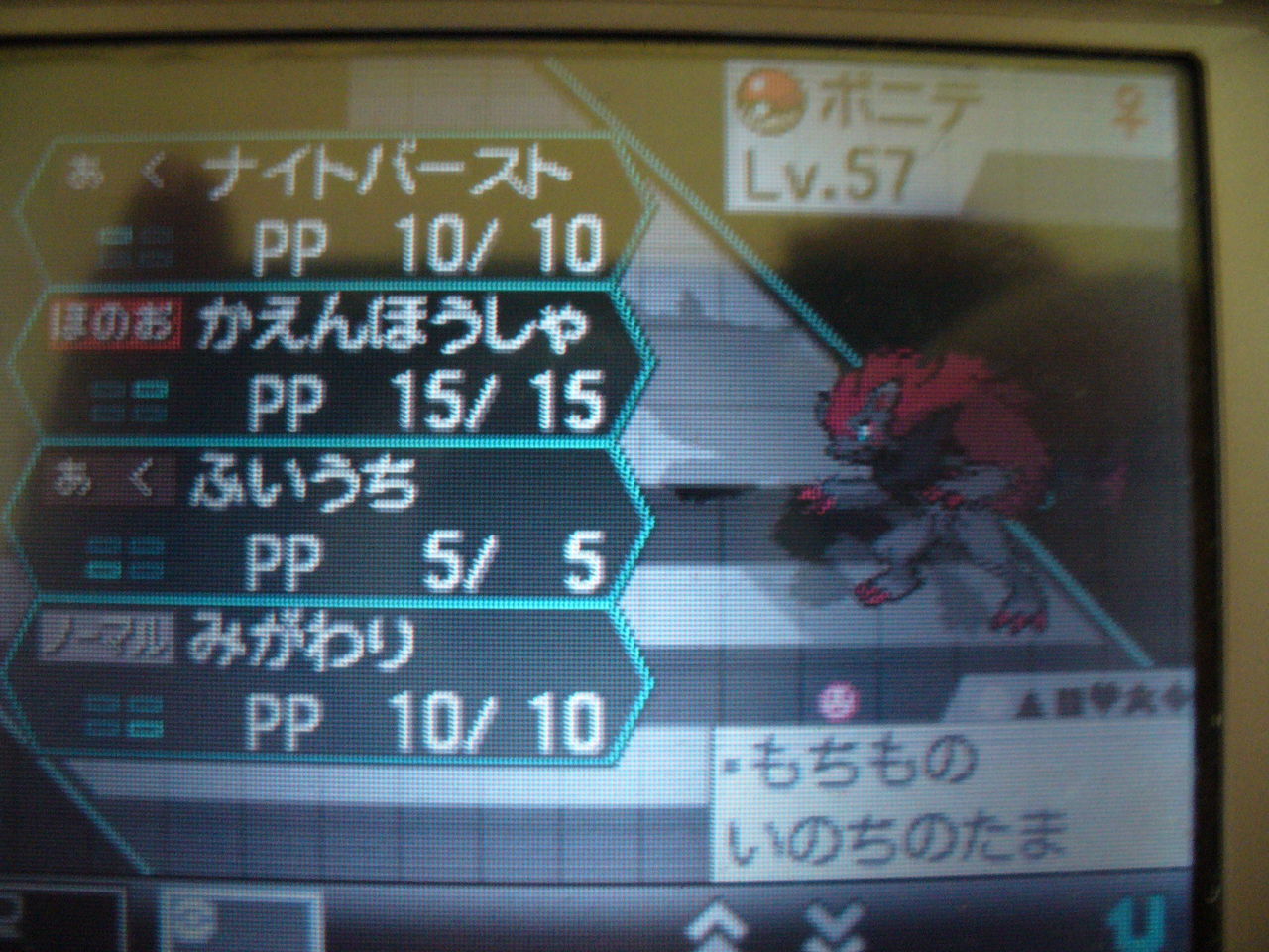 ゾロア ゾロアーク育成論 心のトレーナーカード