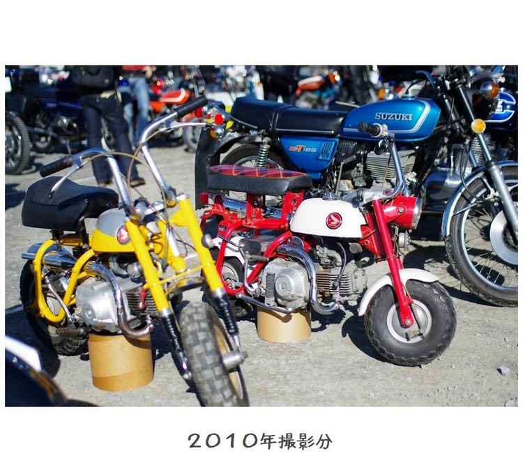 h2010年11月3日IMGP2866