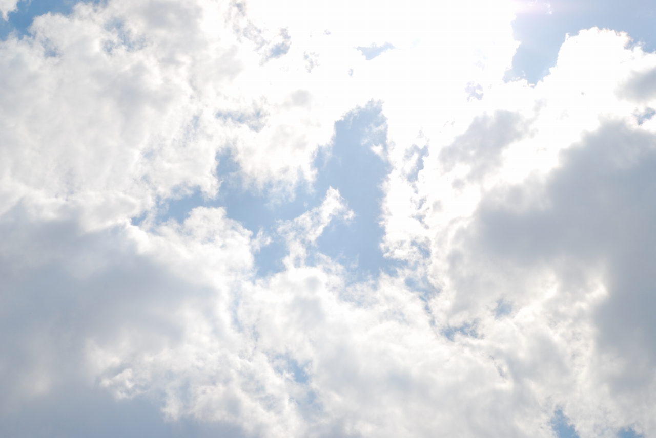 空へ落ちる ポツリ ココロ コロリ コイ ヌケガラ
