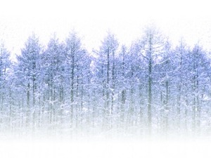 340751ece018e7115911917d5b7c3468_s