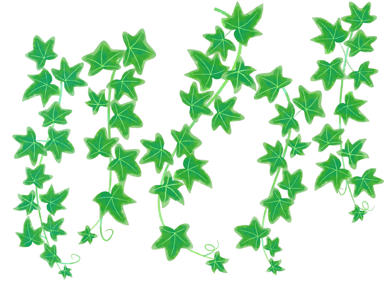つる草と人間の価値観 思索の木蔭 つる草と人間の価値観 思索の木蔭