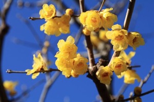 c5d93873d0297415c8ff584edc2e0822_s