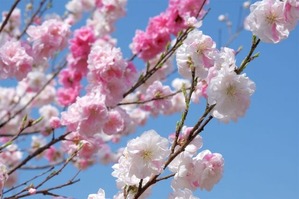 d4fec2aa8697252431072c604d350262_s