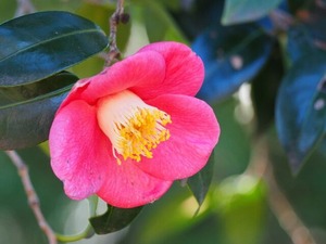 02117f775b6b3e26542bf5e5c521a67e_s