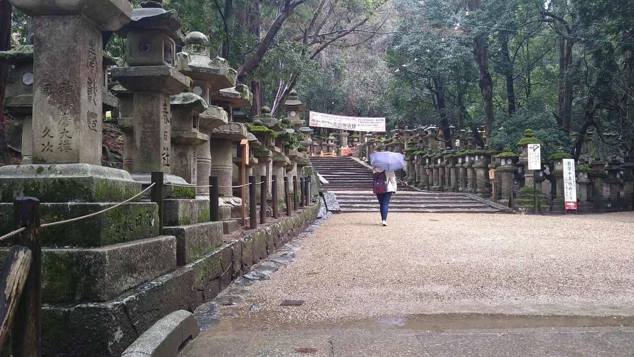 雨の奈良 シニア専用デリヘル こころあわせ店主のblog