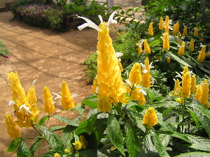 9474109e.jpg