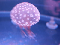 DSCN0900
