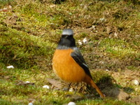 DSCN2808