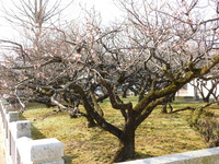 DSCN2811