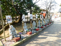 DSCN2825