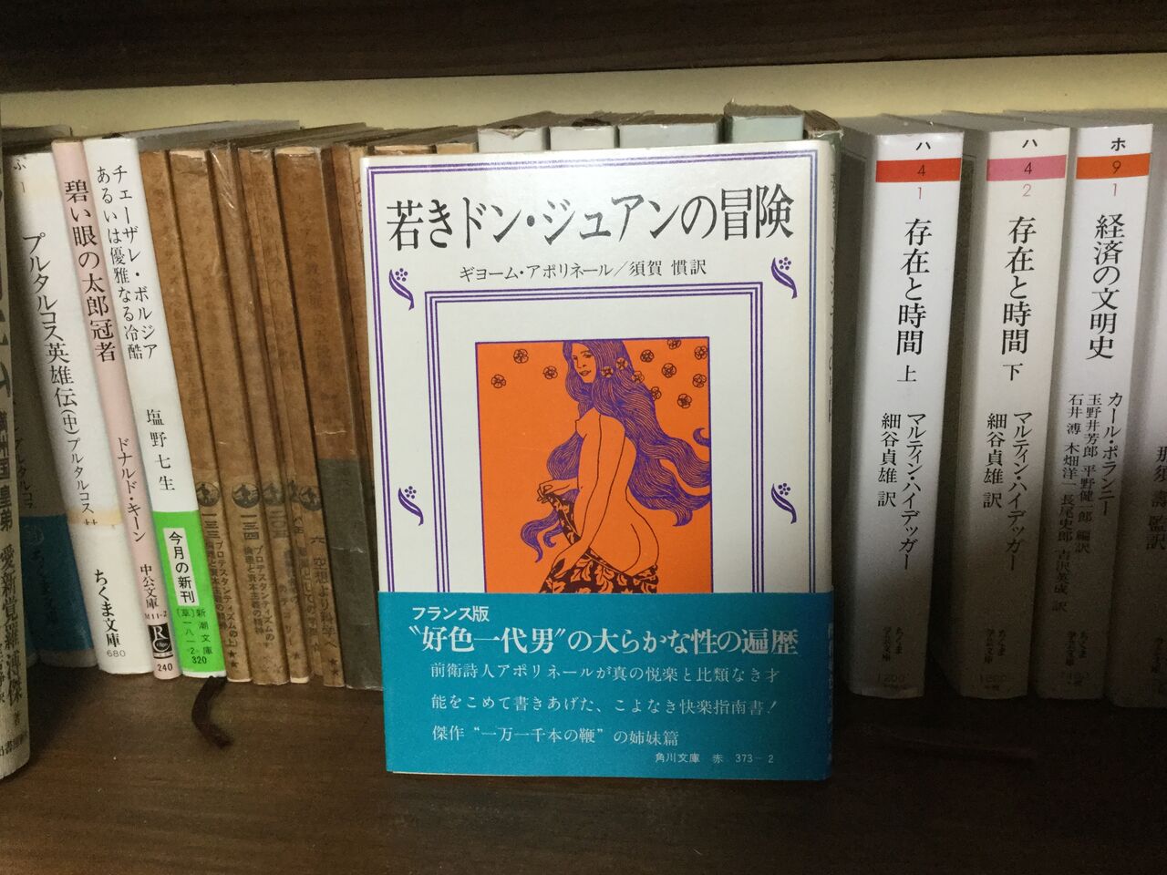 若きドン ジュアンの冒険 ギヨーム アポリネール マンスフィールド Koko書房