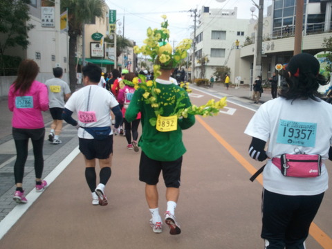 菜の花マラソン2012-4