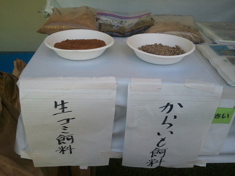 環境フェスタ3