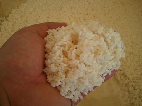 コメ パール