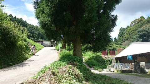 13612342_927623264033740_1017022730256836832_n