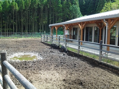 20140927_123822