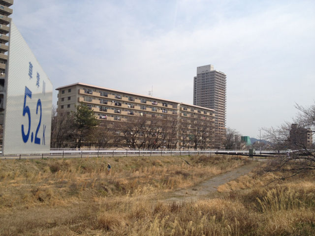 シャルマンノウラ えみ ハレルヤ