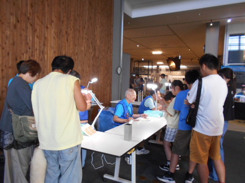 DSCN5908