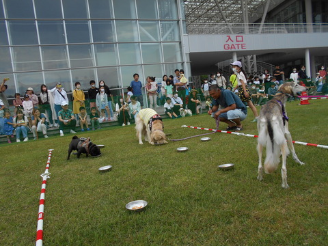 DSCN4151