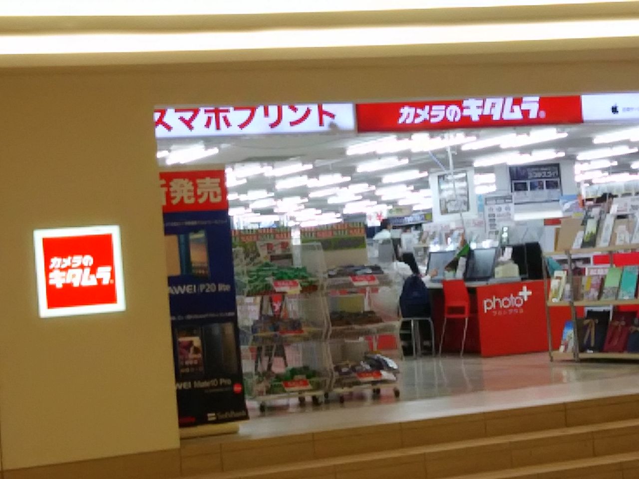 カメラのキタムラ ねこむすめのブログ カメラのキタムラ ねこむすめのブログ